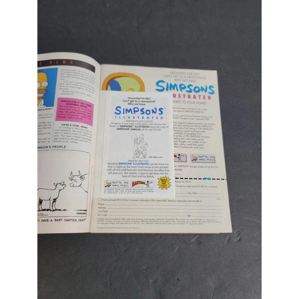 Vintage 1991 Simpsons Illustrated Magazine Premiere Issue